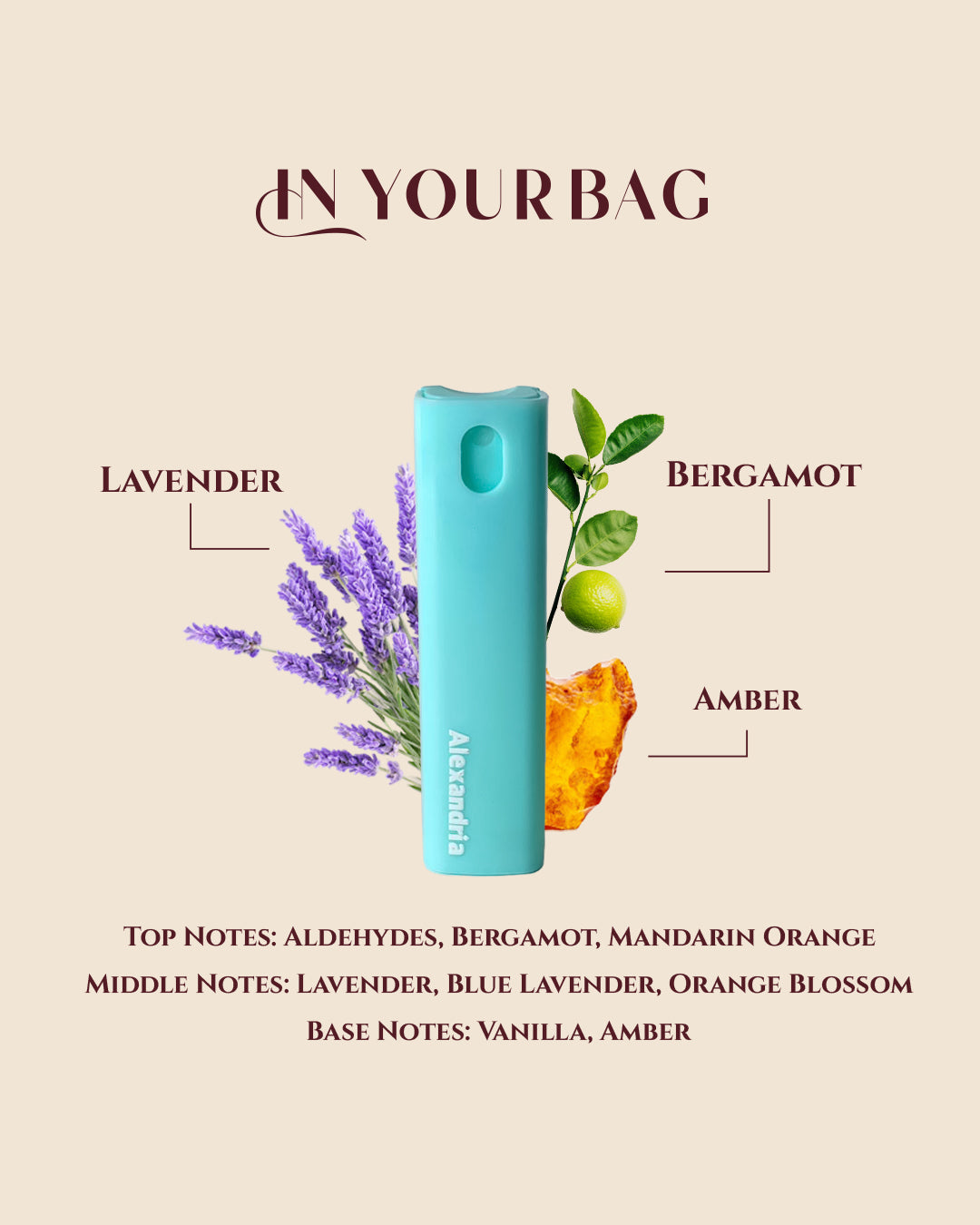 Alexandria – Pocket Size