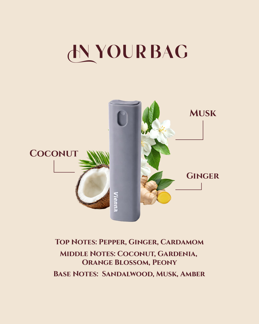 Vianna – Pocket Size